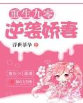 重生九零逆袭记划