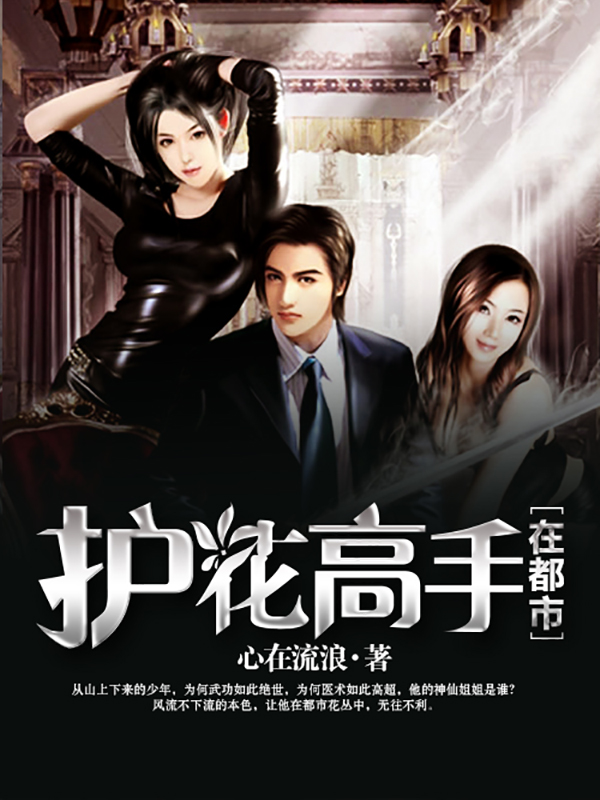 护花高手在都市小说精校下载
