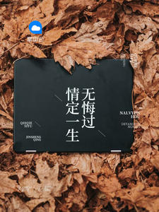 沈蔓歌叶南弦目录