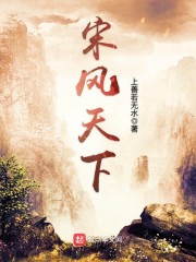 宋风天下最新章节免费下载