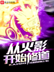 从火影开始修仙 小说