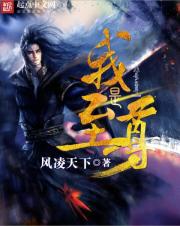 我是至尊小说全文免费阅读百度云