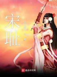 宋小说免费全集完结