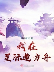 星际方舟科技有限公司