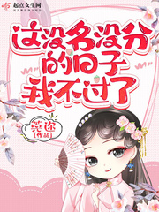 这没名没分的日子我不过了小说