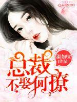 小说总裁不娶何撩