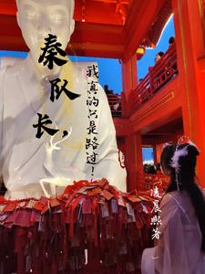 请正面撩我全文本免费阅读