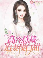 高调冷婚总裁追妻很难