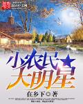 小农民大明星小说全文免费阅读