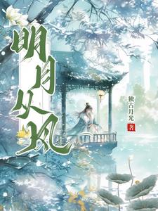 明月从星肖明琮小说
