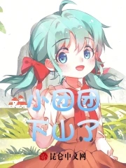 主角是小团团的小说