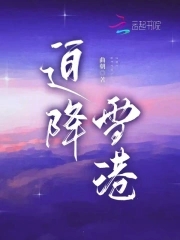 迫降雪港小说免费阅读全文讲的是什么