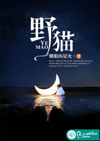 野猫v0.3汉化版最新版本更新内容